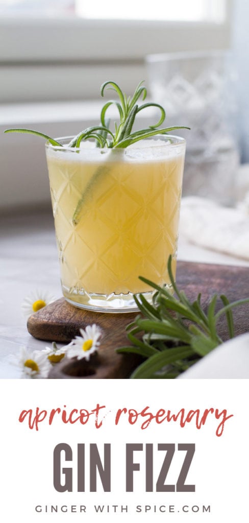 Apricot Rosemary Gin Fizz primary Pinterest Pin.