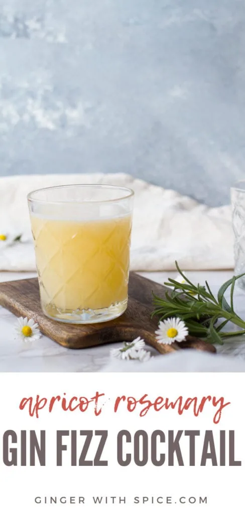 Apricot Rosemary Gin Fizz Cocktail Pinterest Pin.