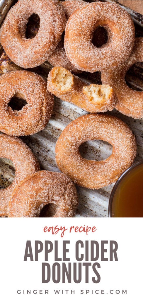 Apple cider donuts, flatlay and closeup. One taken a bite out of. Pinterest pin.