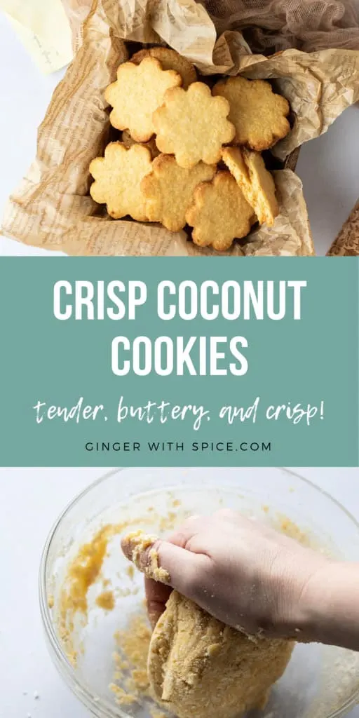 Two images from the post and white text overlay over a turquoise ribbon in the middle. Pinterest pin.