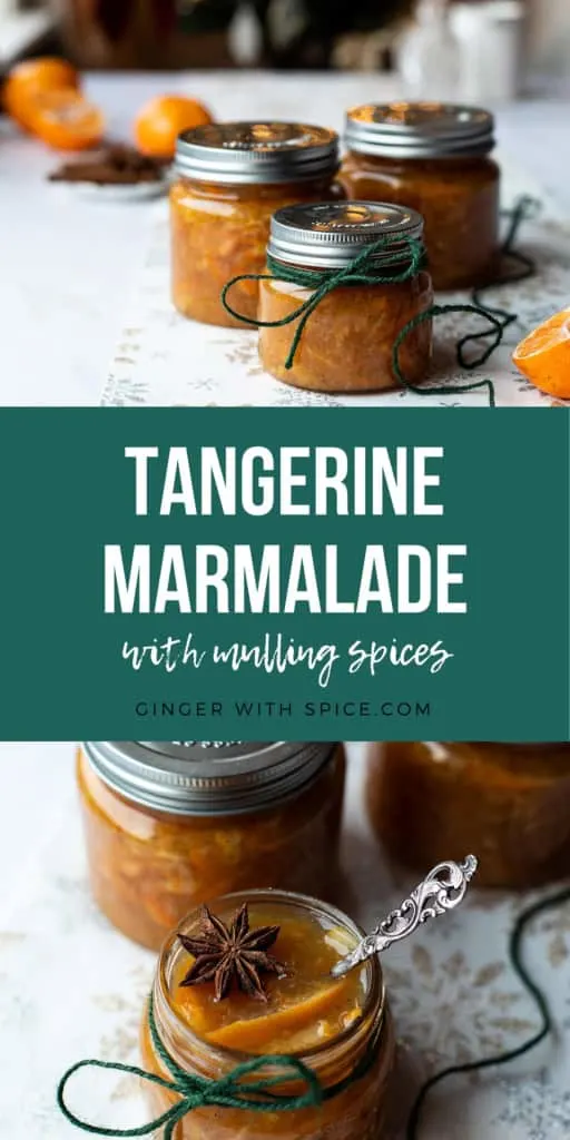 Two images from the post and white title text over a green background in the middle. Pinterest pin.