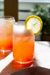 Homemade Sparkling Rhubarb Soda (or Syrup for Cocktails!)
